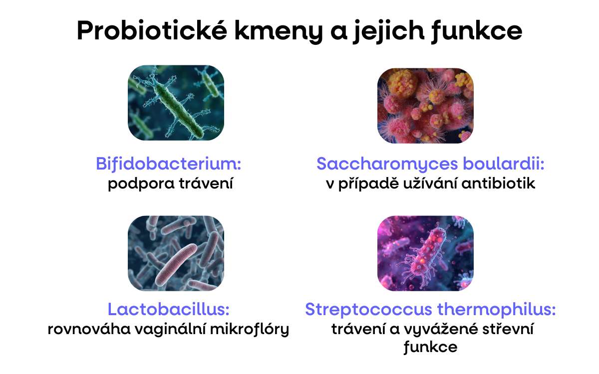 probioticke kmeny